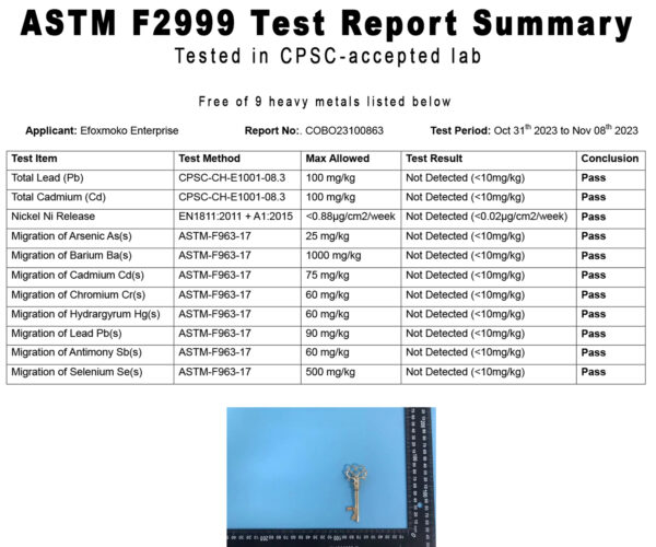astmf2999 Test report